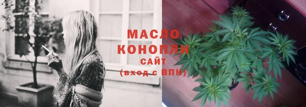 мет Инсар