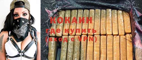 винт Инта