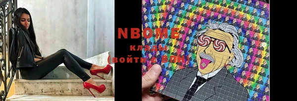мет Инсар