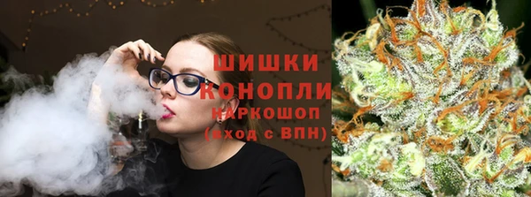 винт Инта