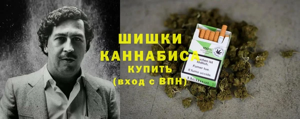 мет Инсар
