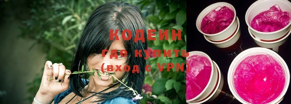 винт Инта